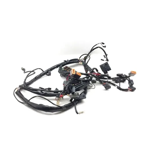 2001 Harley-Davidson Road King FLHR Main Engine Wiring Harness 3452 70245-01 6