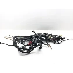 2025 Kawasaki Teryx 800 KRF800 S LE Main Engine Wiring Harness 3448 26031-3758