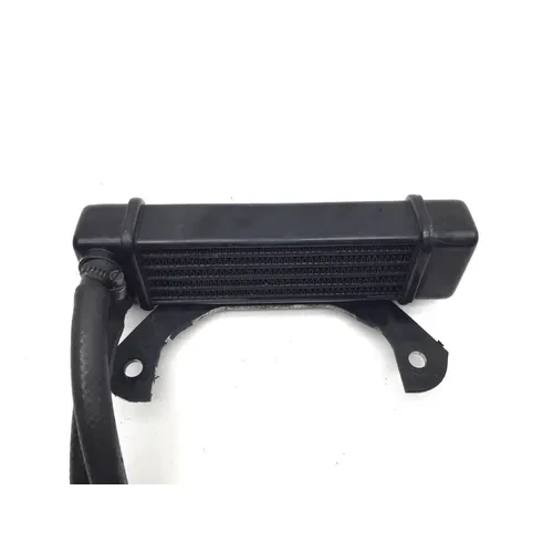1995 Harley-Davidson Road King FLHR Engine Oil Cooler 3472 x 6