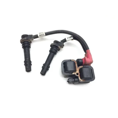 Ignition Coil 2017 Polaris RZR XP 1000 EPS 3476 4010425, 4014295, 4014296
