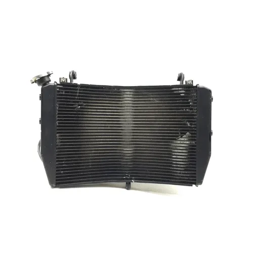 2010 Yamaha YZF R1 Radiator Cooling Front Fluid with Fan 3479 x 2