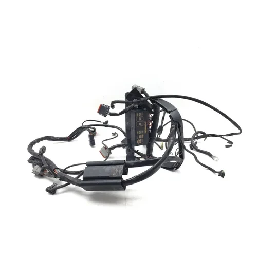 Main Engine Wiring Harness 2002 Harley-Davidson Fat Boy FLSTF 3481 70216-01 2