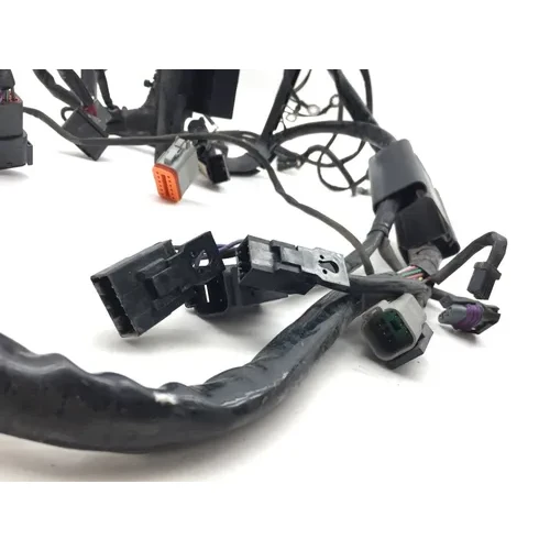 Main Engine Wiring Harness 2002 Harley-Davidson Fat Boy FLSTF 3481 70216-01 4