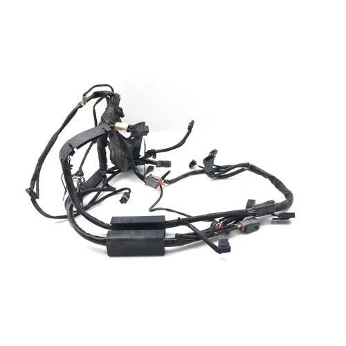 Main Engine Wiring Harness 2002 Harley-Davidson Fat Boy FLSTF 3481 70216-01 5