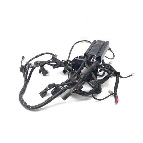 Main Engine Wiring Harness 2002 Harley-Davidson Fat Boy FLSTF 3481 70216-01