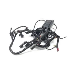 Main Engine Wiring Harness 2002 Harley-Davidson Fat Boy FLSTF 3481 70216-01