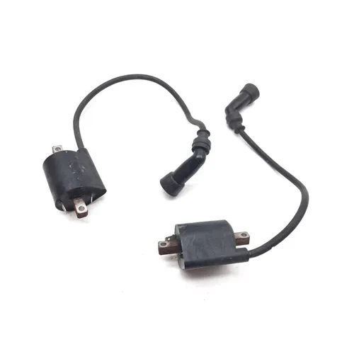Ignition Coil Set 1999 Suzuki Intruder 1500