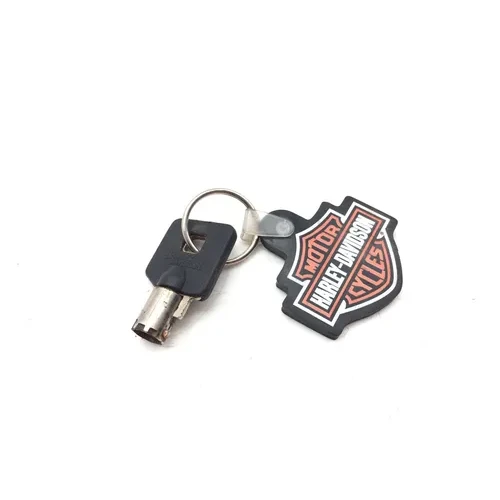 Ignition Key Switch 2002 Harley-Davidson Fat Boy FLSTF 3481 71313-96 2