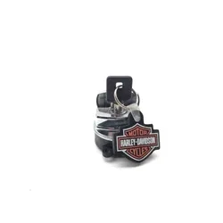 Ignition Key Switch 2002 Harley-Davidson Fat Boy FLSTF 3481 71313-96
