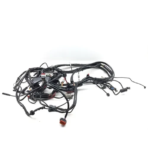 Main Engine Wiring Harness 2001 Harley-Davidson Electra Ultra Classic EFI 3480