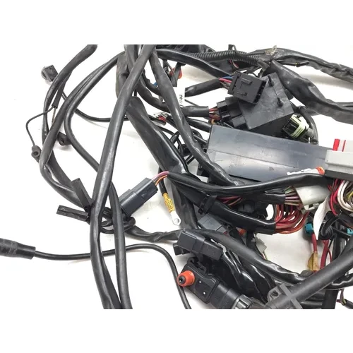 Main Engine Wiring Harness 2001 Harley-Davidson Electra Ultra Classic EFI 3480 3