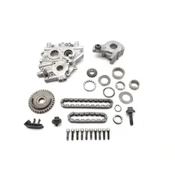 Cam Support Plate Oil Pump 2001 Harley-Davidson Electra Ultra Classic EFI 3480 x