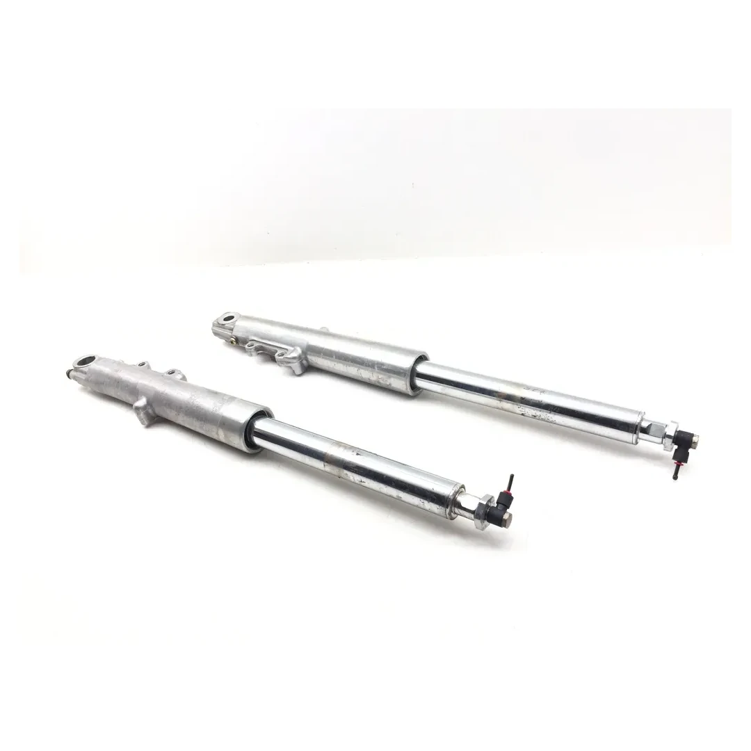 Front Forks Tubes Legs 2001 Harley-Davidson Electra Glide Ultra Classic 3480 x