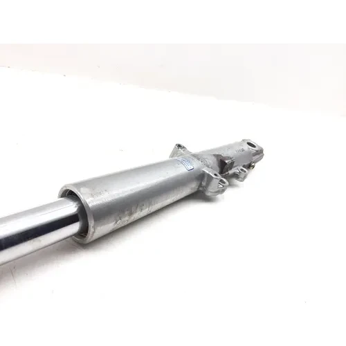 Front Forks Tubes Legs 2001 Harley-Davidson Electra Glide Ultra Classic 3480 x 6