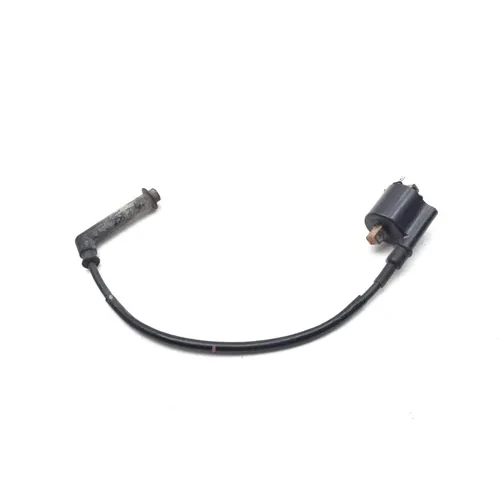 Ignition Coil 2014 Honda Pioneer 700 SXS700M2 3489 x 5