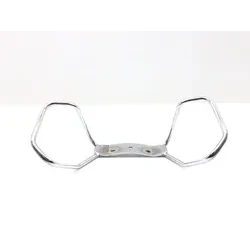 Passenger Rear Grab Bars 2001 Harley-Davidson Electra Glide Ultra Classic 3480 x