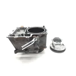 Engine Cylinder Jug W Piston 2014 Honda Pioneer 700 SXS700M2 3489