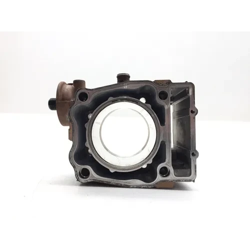 Engine Cylinder Jug W Piston 2011 Polaris Scrambler 500 4X4 3486  3087221 6