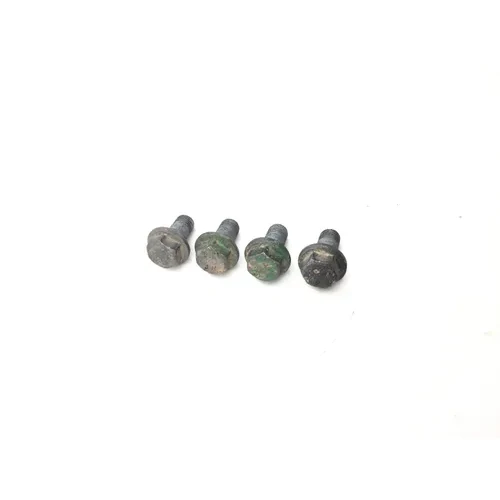 2016 Polaris RZR S 900 4x4 Rear Brake Caliper Mounting Bolts 3487 3