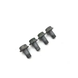 2016 Polaris RZR S 900 4x4 Rear Brake Caliper Mounting Bolts 3487