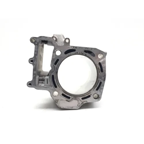 2008 Kawasaki Teryx 750 4x4Engine Cylinder Jug Rear 3493 6