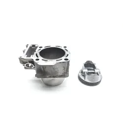 2008 Kawasaki Teryx 750 4x4Engine Cylinder Jug Rear 3493