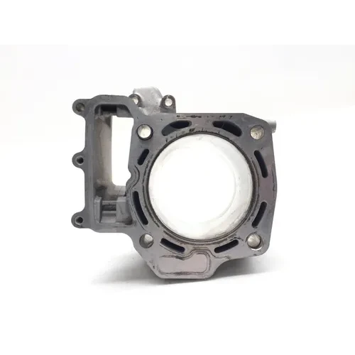 2008 Kawasaki Teryx 750 4x4Engine Cylinder Jug Front 3493 6