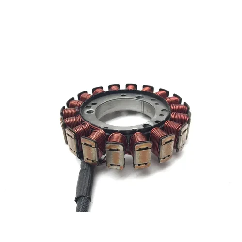 2008 Kawasaki Teryx 750 4x4Engine Stator Generator 3493 21003-0077 4