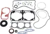 ProX Complete Engine Rebuild Gasket Kit w Oil Seals for RMK IQ 800