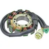 Wild Boar Stator Trigger Pickup Coil