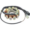 Wild Boar Stator Trigger Pickup Coil