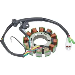 Wild Boar Stator Trigger Pickup Coil