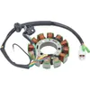 Wild Boar Stator Trigger Pickup Coil