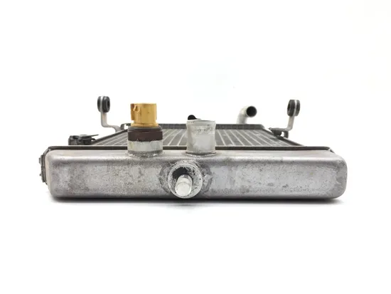 Engine Radiator Cooling 2003 Yamaha Raptor 660R YFM660R 159 x