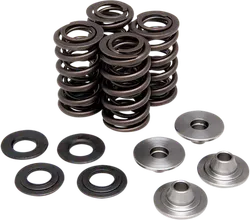 Kibblewhite Titanium Intake Exhaust Valve Spring Kit