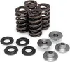 Kibblewhite Titanium Intake Exhaust Valve Spring Kit