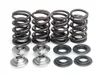 KibbleWhite Racing Exhaust Intake Valve Spring Kit