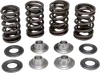 KibbleWhite Racing Exhaust Intake Valve Spring Kit