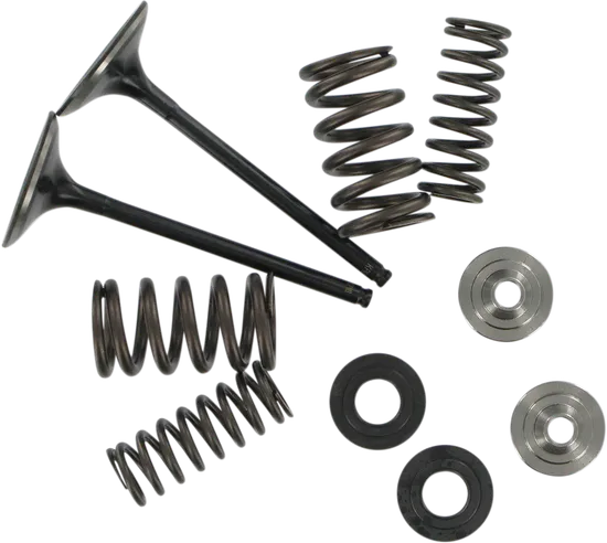 Kibblewhite  Stainless Steel Conversion Intake Valve Spring Kit
