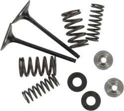 Kibblewhite  Stainless Steel Conversion Intake Valve Spring Kit