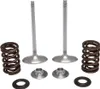 Kibblewhite  Stainless Steel Conversion Intake Valve Spring Kit