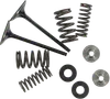 Kibblewhite  Stainless Steel Conversion Intake Valve Spring Kit