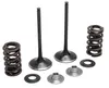 Kibblewhite  Stainless Steel Conversion Intake Valve Spring Kit