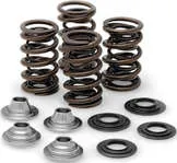 Kibblewhite Titanium Intake Exhaust Valve Spring Kit