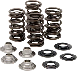 Kibblewhite  Titanium Intake Exhaust Valve Spring Kit