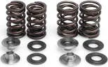 KibbleWhite Racing Exhaust Intake Valve Spring Kit