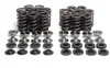 Kibblewhite  Racing Exhaust Intake Valve Spring Kit 0.445in Lift