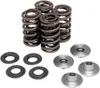 KibbleWhite Racing Exhaust Intake Valve Spring Kit