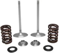 Kibblewhite Stainless Steel Conversion Intake Valve Spring Kit 3