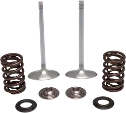 Kibblewhite Stainless Steel Conversion Intake Valve Spring Kit